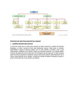 PROCESO DE INSUTRIALIZACION DEL MANGO
1.
GENERALIDADES BIOLOGICAS
La fruta de mango que se utiliza para procesar se debe cose