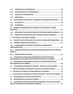 5.7.5
FUNCIONES DE LOS BRIGADISTAS.....................................................................58
5.7.6
RESPONSABILID