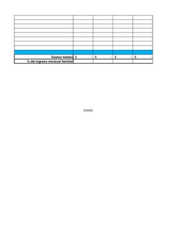 Gastos totales  $                -  $                -  $                -  $                - 
% del ingreso mensual familia