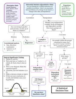 Statistical Tests Decision Tree Guide | PDF | Student's T Test | Statistics