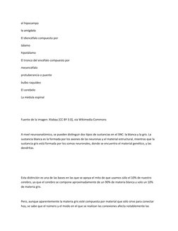 el hipocampo
la amígdala
El diencéfalo compuesto por
tálamo
hipotálamo
El tronco del encéfalo compuesto por
mesencéfalo
protu