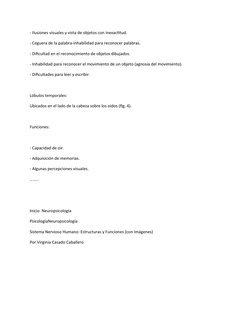 - Ilusiones visuales y vista de objetos con inexactitud. 
- Ceguera de la palabra-inhabilidad para reconocer palabras. 
- Dif