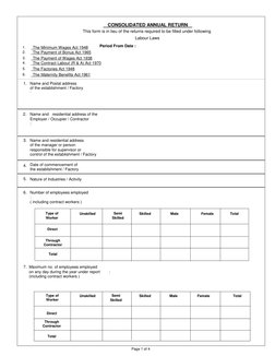 Consolidated Annual Return Form Guide | PDF | Employment | Occupational ...