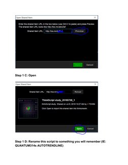 ThinkOrSwim Script Setup Guide | PDF