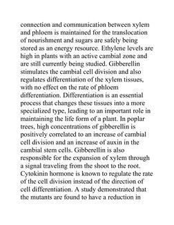 connection and communication between xylem 
and phloem is maintained for the translocation 
of nourishment and sugars are saf