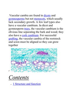 . Vascular cambia are found in dicots and 
gymnosperms but not monocots, which usually 
lack secondary growth. A few leaf