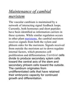 Maintenance of cambial 
meristem 
The vascular cambium is maintained by a 
network of interacting signal feedback loops. 
Cur