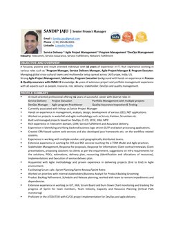 Senior Project Manager Profile Summary | PDF | Scrum (Software ...