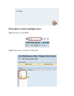 How To Lock (SU01) & Unlock (SU10) A SAP User | PDF | Computers