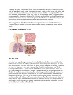 The lungs are paired, cone-shaped organs which take up most of the space in our chests, along 
with the heart. Their role is