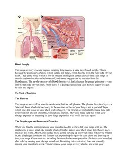 Blood Supply
The lungs are very vascular organs, meaning they receive a very large blood supply. This is 
because the pulmona