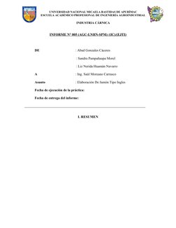 UNIVERSIDAD NACIONAL MICAELA BASTIDAS DE APURÍMAC
ESCUELA ACADÉMICO PROFESIONAL DE INGENIERÍA AGROINDUSTRIAL
INDUSTRIA CÁRNIC