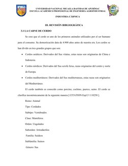 UNIVERSIDAD NACIONAL MICAELA BASTIDAS DE APURÍMAC
ESCUELA ACADÉMICO PROFESIONAL DE INGENIERÍA AGROINDUSTRIAL
INDUSTRIA CÁRNIC