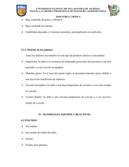 UNIVERSIDAD NACIONAL MICAELA BASTIDAS DE APURÍMAC
ESCUELA ACADÉMICO PROFESIONAL DE INGENIERÍA AGROINDUSTRIAL
INDUSTRIA CÁRNIC