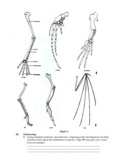 Worksheet - Evidence of Evolution Worksheet Murch 2013 2 | PDF ...