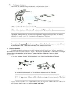Worksheet - Evidence of Evolution Worksheet Murch 2013 2 | PDF ...