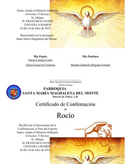 Santo, siendo el Ministro Ordinario
el Excmo. Y Revmo. 
Sr. Obispo 
D. FRANCISCO JAVIER
CHAVOLLA RAMOS
El día 14 de Julio de