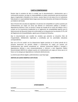CARTA COMPROMISO 
Declaro bajo la protesta de decir la verdad, que la documentación y declaraciones que a 
continuación prese