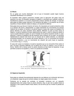 2.3 Recto:
Es  un  golpe  con  mucha  efectividad,  con  el  que  el  boxeador  puede  lograr  buenos
resultados derribando a