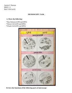 Understanding LPO and HPO in Microscopy | PDF | Microscope | Optics