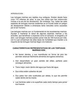 INTRODUCCION: 
Las tortugas marinas son reptiles muy antiguos. Existen desde hace
unos 110 millones de años, lo que nos indic