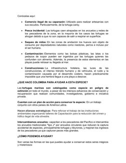 Conócelas aquí:

Comercio ilegal de su caparazón: Utilizado para realizar artesanías con
sus escudos. Particularmente, de la