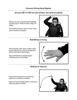 Common Hand Signals For Scuba Diving | PDF