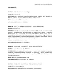 Hoja de Vida Raynel Mendoza Garrido 
JEFE INMEDIATO: - 
 
EMPRESA:      MST – MultiSoluciones Tecnológicas 
CARGO: Gerente Pr