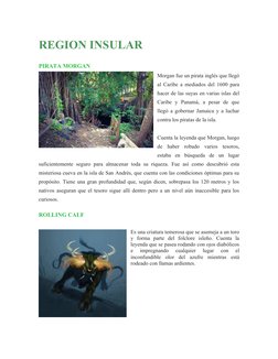REGION INSULAR
PIRATA MORGAN
Morgan fue un pirata inglés que llegó
al Caribe a mediados del 1600 para
hacer de las suyas en v