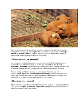 Y sin duda alguna cuando uno desee empezar en este mundo se pregunta muchas 
cosas ¿Cómo crían cuyes para negocio? O ¿Cómo cr