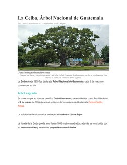 La Ceiba, Árbol Nacional de Guatemala
Por: Leslie | Actualizado el: 14 septiembre 2020 2:40 pm
 
(Foto: instructorfinanciero.