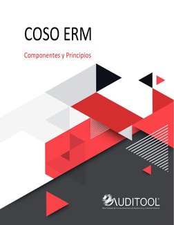 www.auditool.org  (http://www.auditool.org/)
 
1 
COSO ERM  
Componentes y Principios