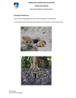 Prepared by: 
Mr. Richard R. Reodique 
IMMACULATE CONCEPTION POLYTECHNIC 
SENIOR HIGH SCHOOL 
Marian Road, Poblacion,