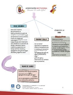“Formando líderes para la construcción de un nuevo país en paz”
Universidad de Pamplona
Pamplona - Norte de Santander - Colom