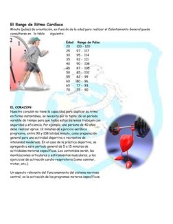 El Rango de Ritmo Cardíaco
Minuto (pulso) de orientación, en función de la edad para realizar el Calentamiento General puede