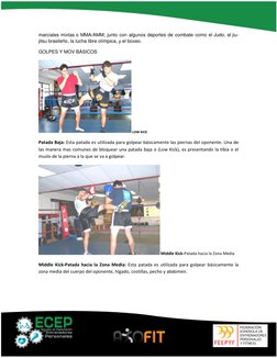 marciales mixtas o MMA/AMM; junto con algunos deportes de combate como el Judo, (https://es.wikipedia.org/wiki/Judo) el jiu