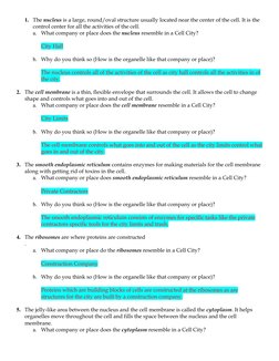 Cell City Analogy Answer Key | PDF | Endoplasmic Reticulum | Cytoplasm