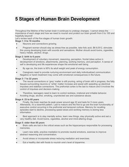 5 Stages of Human Brain Development
Throughout the lifetime of the human brain it continues to undergo changes. I cannot stre