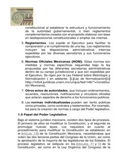  
 
constitucional al establecer la estructura y funcionamiento 
de la autoridad gubernamental, o bien reglamentos 
complemen