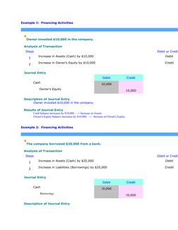 Example 1:  Financing Activities
 
   
   
Owner invested $10,000 in the company.
   Analysis of Transaction
Steps
 
Debit or