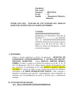 Expediente:  
Esp.  Legal :  
Cuaderno    :   PRINCIPAL
Escrito        :   01
Sumilla        :   Demanda de Filiación y
Alime