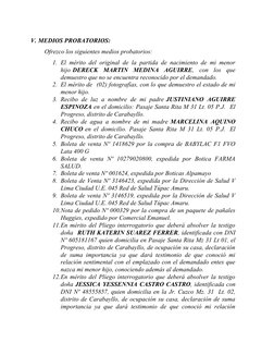 V. MEDIOS PROBATORIOS:
Ofrezco los siguientes medios probatorios: 
1. El mérito del original de la partida de nacimiento de m