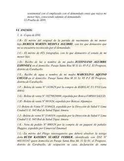 sentimental con el emplazado con el demandado entes que nazca mi
menor hijo, conociendo además al demandado.
13.Prueba de ADN