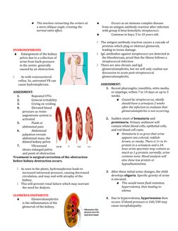 
This involves reinserting the ureters at 
a more oblique angle, creating the 
normal valve effect.
HYDRONEPHROSIS

Enlarge