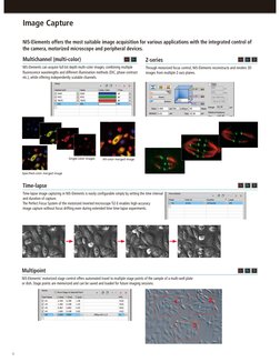 Manual NIS Elements Nikon | PDF | Microscopy | Exposure (Photography)