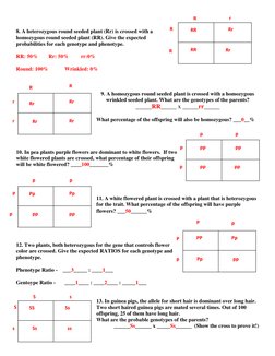 8. A heterozygous round seeded plant (Rr) is crossed with a 
homozygous round seeded plant (RR). Give the expected 
probabi