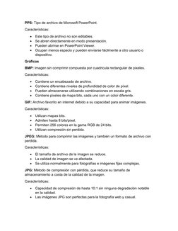 PPS: Tipo de archivo de Microsoft PowerPoint.
Características:

Este tipo de archivo no son editables.

Se abren directamen