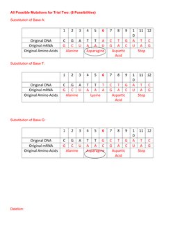All Possible Mutations for Trial Two: (8 Possibilities)
Substitution of Base A:
Substitution of Base T:
Substitution of Base