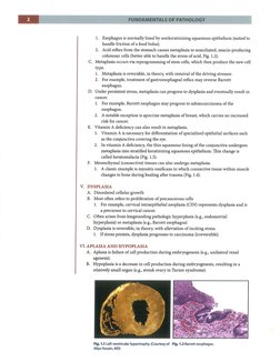 Chapter 2 Pathoma Notes.pdf PATHOMA | PDF | Self-Improvement | Wellness