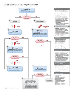 No
Yes
No
Yes
Yes
No
Yes
No
No
Yes
Shock
Epinephrine 
ASAP
Shock
Shock
Rhythm 
shockable?
Rhythm 
shockable?
Rhythm 
shockabl